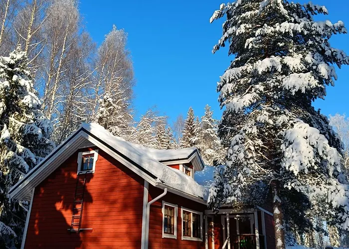 Talvitahko 5 度假居